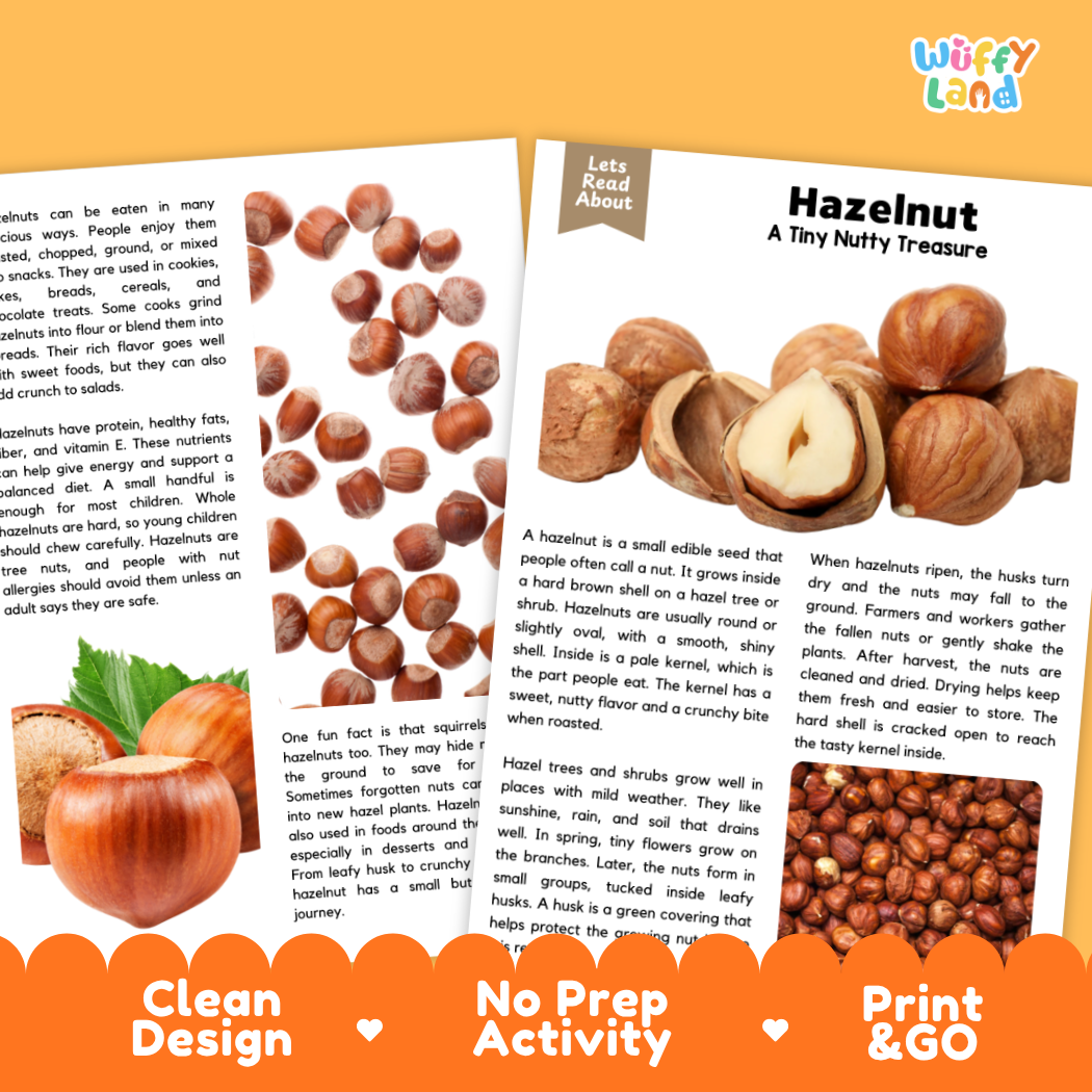 An educational activity sheet from 'Wiffly Land' titled 'Hazelnut: A Tiny Nut Treasure'. The sheet features illustrations of whole and peeled hazelnuts, a small hazelnut tree, and a hand holding a peeled hazelnut.