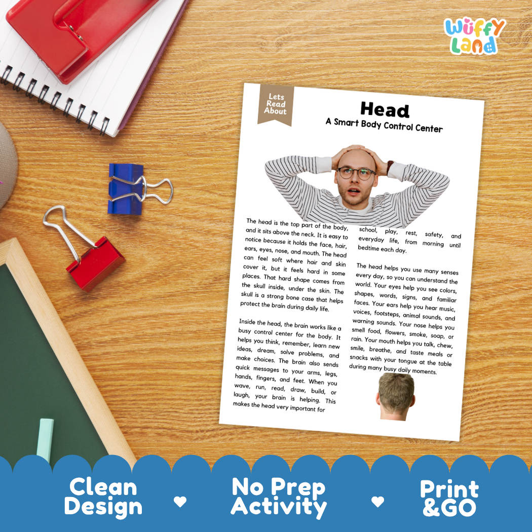 Student reading comprehension worksheet with short-answer questions and lined sections about the human head