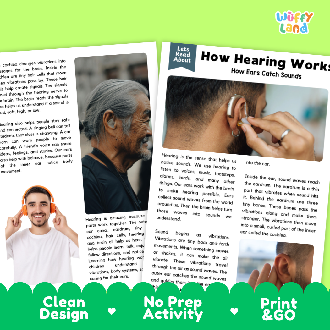 Complete teacher answer key worksheet providing detailed model responses for hearing comprehension questions