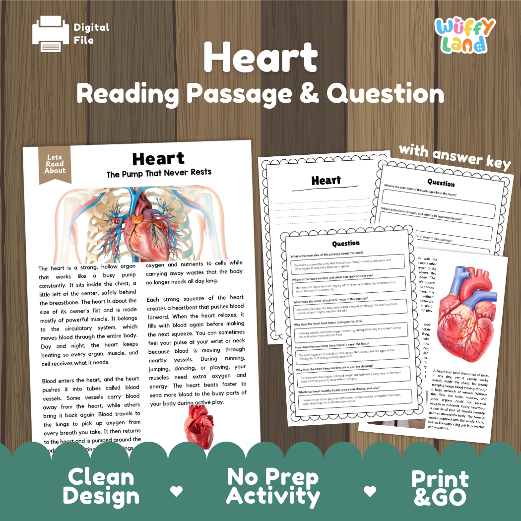 Heart reading comprehension passage and questions printable activity pack with answer key for elementary students