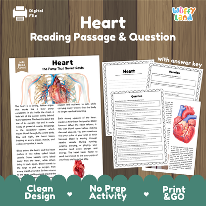 Heart reading comprehension passage and questions printable activity pack with answer key for elementary students