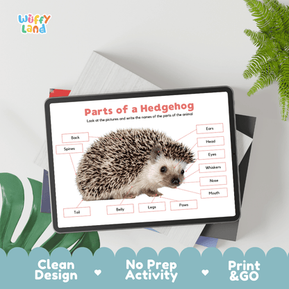 Hands-on hedgehog anatomy cut and paste worksheet with printable word tags, callout pointer lines, and scissors graphic