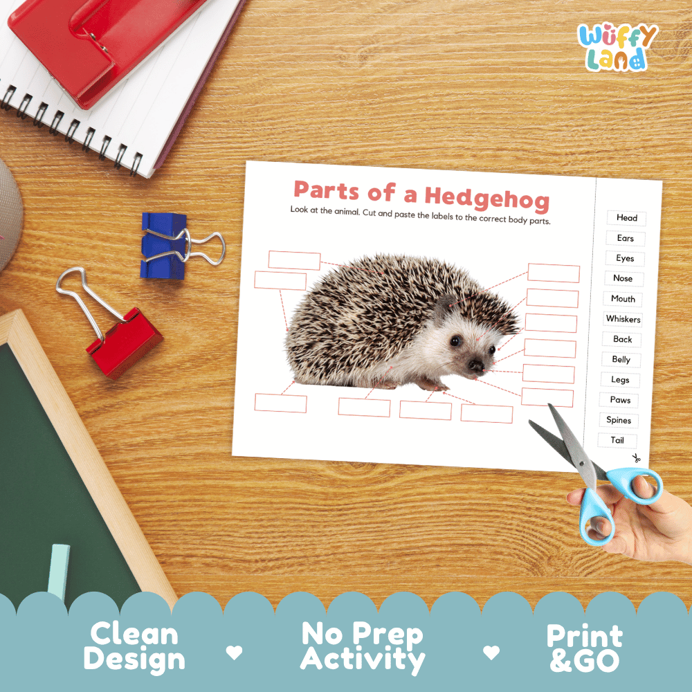 Differentiated hedgehog body parts labeling worksheets featuring fill-in write-in boxes and vocabulary word bank
