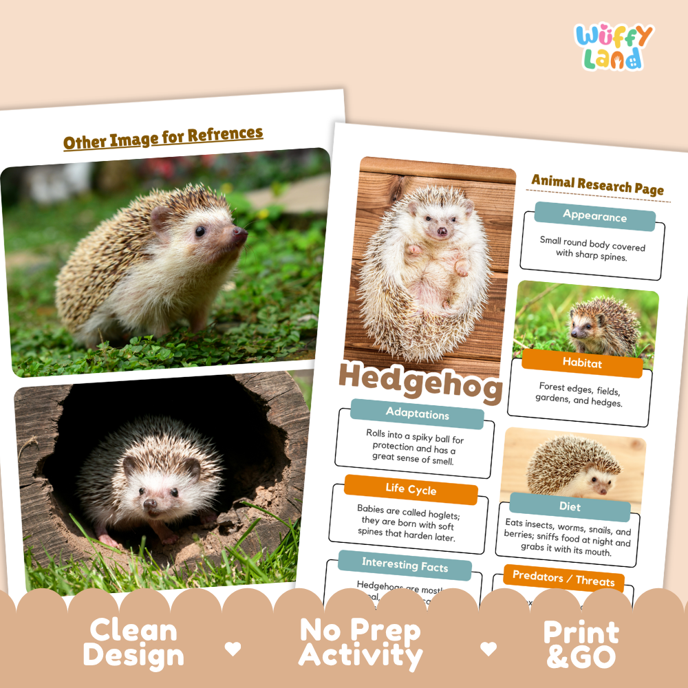 Two printed educational activity sheets about hedgehogs on a beige background with promotional text reading 'Other Image for References,' 'Animal Research Page,' and 'Clean Design No Prep Activity Print & GO.' The sheets show photos of hedgehogs and labeled sections on appearance, habitat, adaptations, life cycle, diet, and predators.