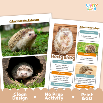 Two printed educational activity sheets about hedgehogs on a beige background with promotional text reading 'Other Image for References,' 'Animal Research Page,' and 'Clean Design No Prep Activity Print & GO.' The sheets show photos of hedgehogs and labeled sections on appearance, habitat, adaptations, life cycle, diet, and predators.