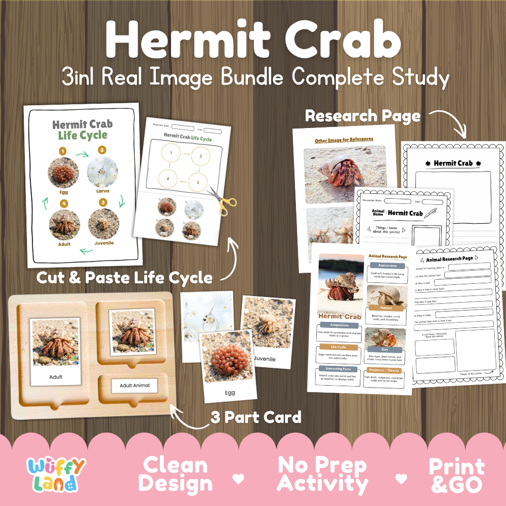 Hermit crab 3-in-1 real image bundle complete study cover showing cut and paste life cycle, 3 part cards, and research pages