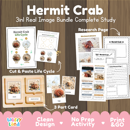 Hermit crab 3-in-1 real image bundle complete study cover showing cut and paste life cycle, 3 part cards, and research pages