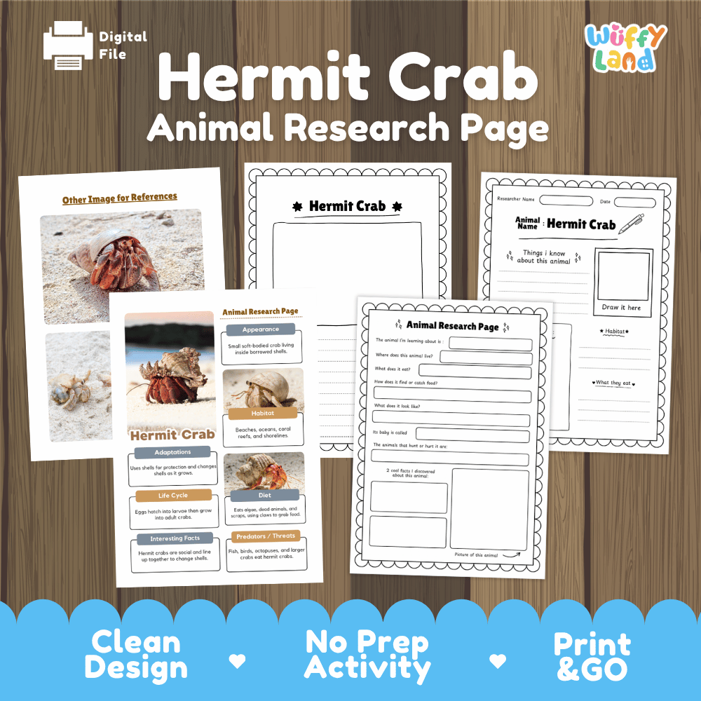 Hermit Crab Animal Research Page Worksheets