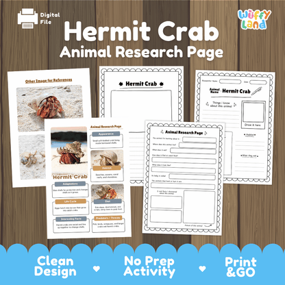 Hermit Crab Animal Research Page Worksheets