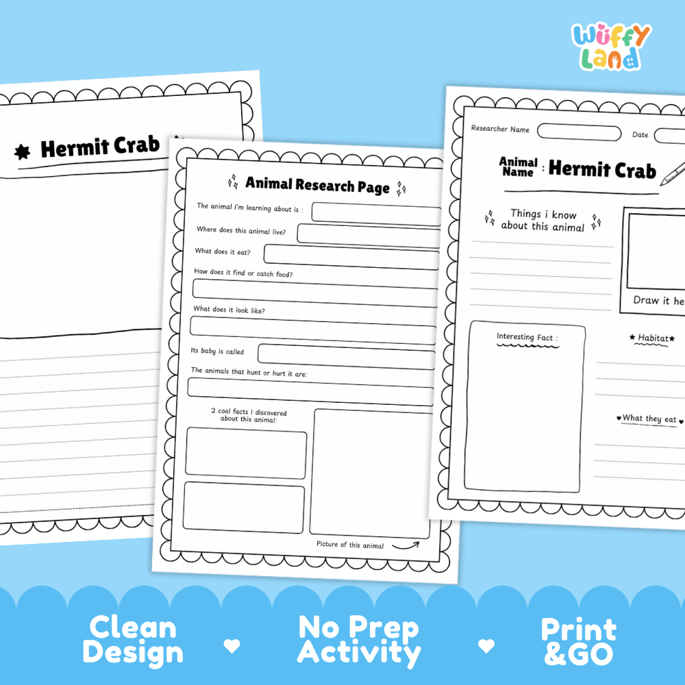 Hermit Crab Animal Research Page Worksheets