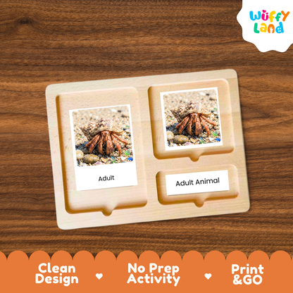 A wooden Montessori-style activity board with two labeled slots reading 'Adult' and 'Adult Animal,' each containing a small photo of a crab on sand. The board is shown on a wood surface, with a 'Wuffy Land' logo in the top right and marketing text along the bottom.