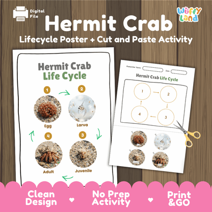 Hermit Crab Life Cycle Poster and Cut and Paste Activity Worksheets
