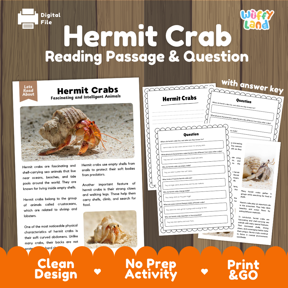 Digital product preview for a 'Hermit Crab Reading Passage & Question' activity by Wiffly Land, featuring a sample reading page with a hermit crab photo and worksheet pages on a wood background.