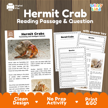 Digital product preview for a 'Hermit Crab Reading Passage & Question' activity by Wiffly Land, featuring a sample reading page with a hermit crab photo and worksheet pages on a wood background.