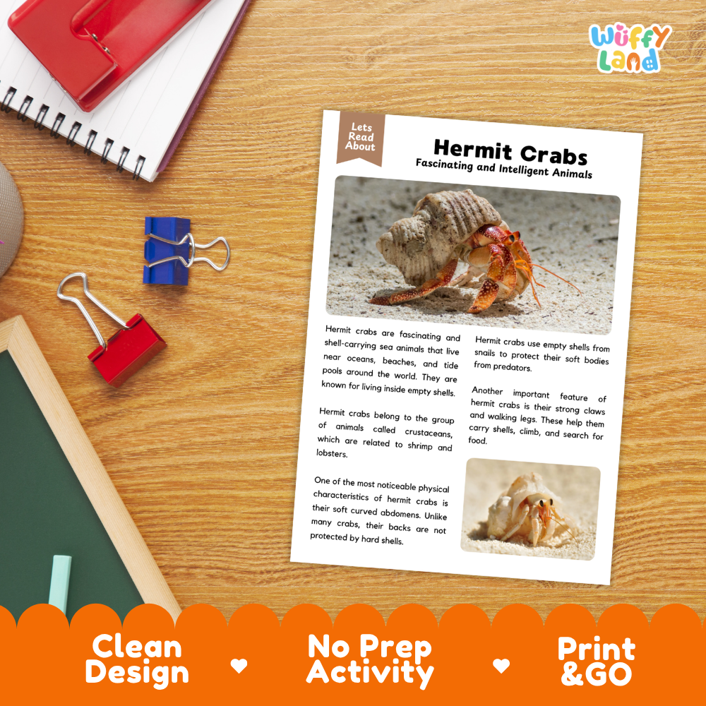An educational activity sheet about Hermit Crabs laid out on a wooden desk with school supplies. The sheet has text, two small photos of hermit crabs, and a colorful orange banner at the bottom with the text 'Clean Design', 'No Prep Activity', and 'Print & GO'.
