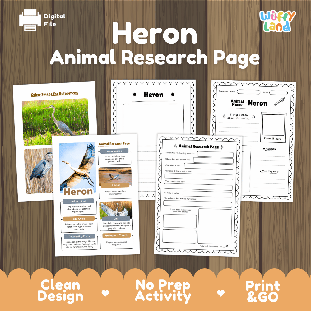 Heron Animal Research Page Worksheets