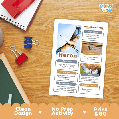 Heron Animal Research Page Worksheets