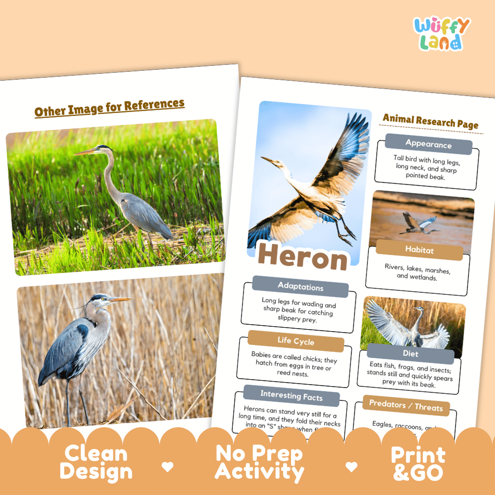Heron Animal Research Page Worksheets