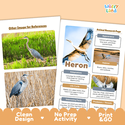 Heron Animal Research Page Worksheets