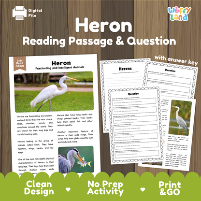 Digital reading activity bundle for 'Heron Reading Passage & Question' by Wiffly Land, featuring a sample heron passage and two worksheet pages on a wood-grain background with green banner accents.
