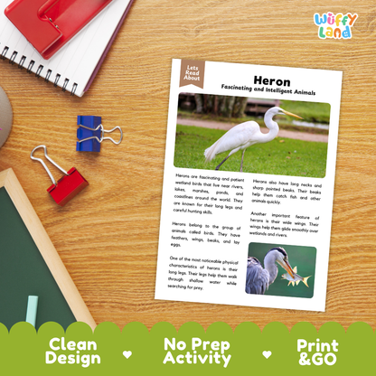 Heron Reading Passage and Comprehension Questions Worksheets