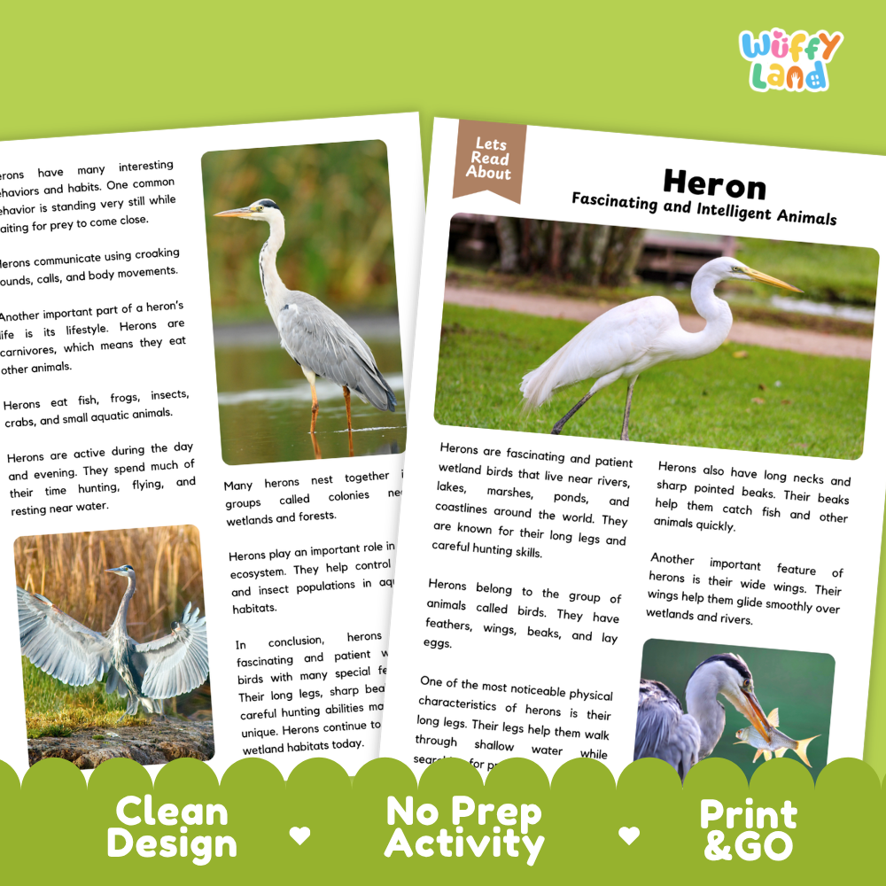 Heron Reading Passage and Comprehension Questions Worksheets