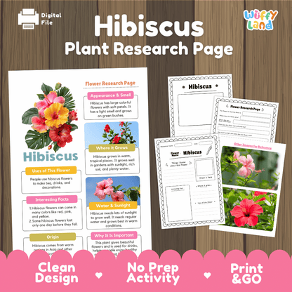 Hibiscus Plant Research Page Worksheets and Information Poster