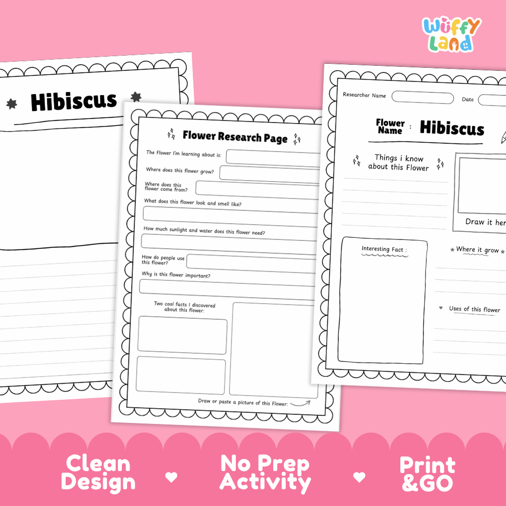 Hibiscus Plant Research Page Worksheets and Information Poster
