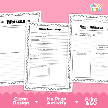 Hibiscus Plant Research Page Worksheets and Information Poster