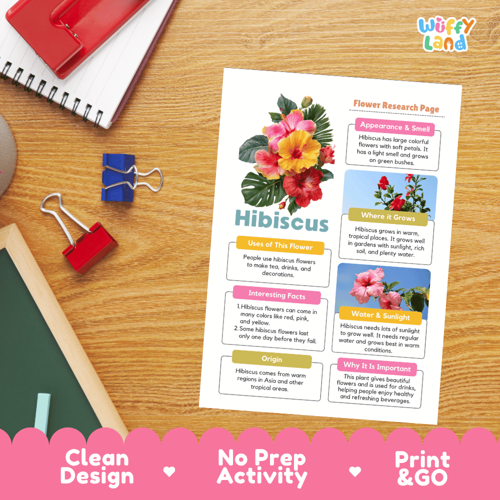 Hibiscus Plant Research Page Worksheets and Information Poster
