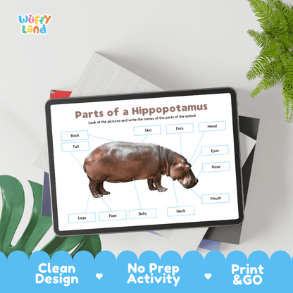 Educational cut and paste hippopotamus anatomy worksheet with printable word cutout tiles for head, ears, feet, skin, and tail