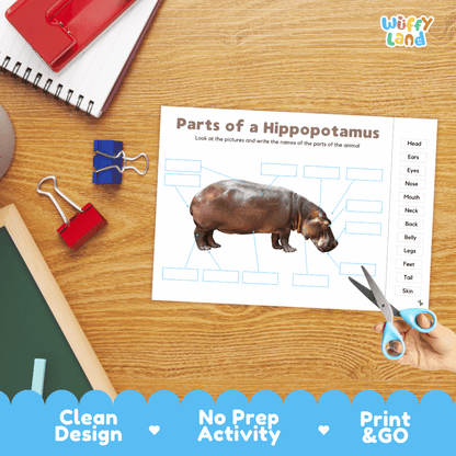 Printable animal body parts worksheet showing a realistic hippopotamus with blank labeling boxes and a vocabulary word bank for writing practice
