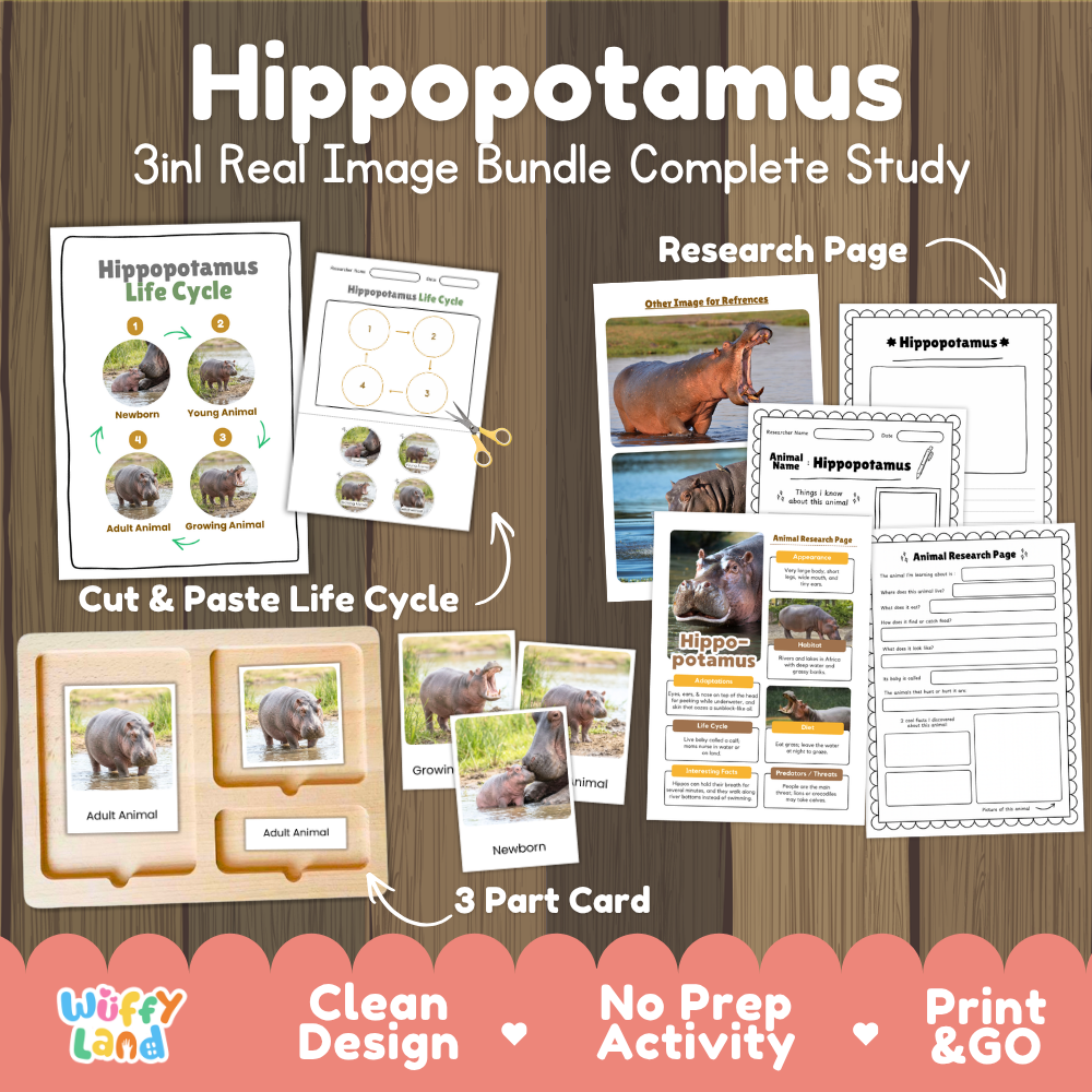 Hippopotamus 3-in-1 real image bundle complete study cover showing cut and paste life cycle, 3 part cards, and research pages