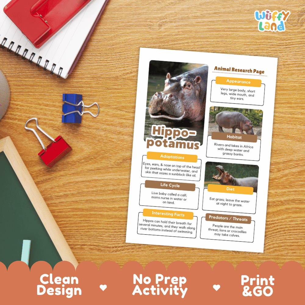 An educational printout activity sheet titled 'Hippo otamus Animal Research Page' displayed on a wooden desk with school supplies. The sheet features a photo of a hippopotamus and text boxes about its adaptations, habitat, diet, and predators.