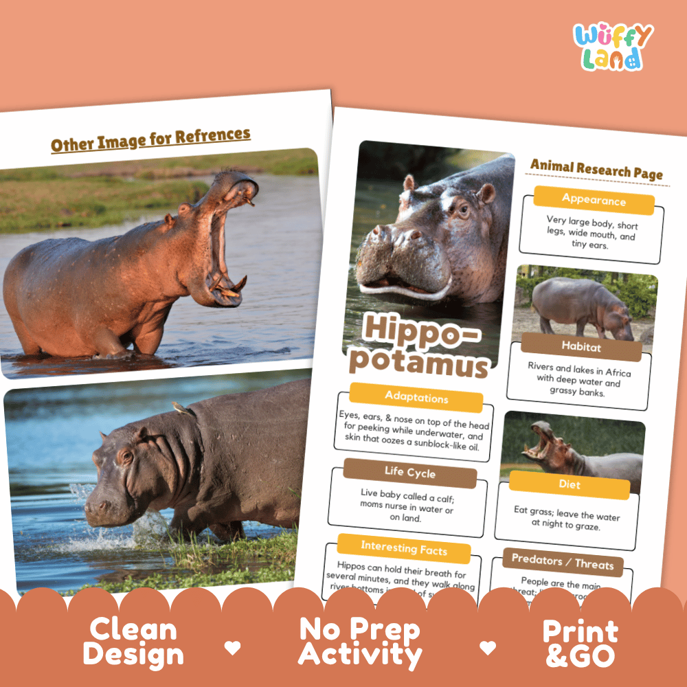 Two printed activity worksheet pages for a hippopotamus research activity, shown on an orange background with a decorative scalloped banner reading 'Clean Design', 'No Prep Activity', and 'Print & GO'. The pages contain text boxes and animal photos, including one large hippopotamus photo and smaller inset photos.