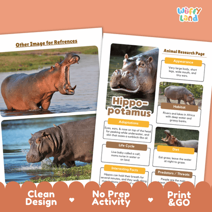 Two printed activity worksheet pages for a hippopotamus research activity, shown on an orange background with a decorative scalloped banner reading 'Clean Design', 'No Prep Activity', and 'Print & GO'. The pages contain text boxes and animal photos, including one large hippopotamus photo and smaller inset photos.