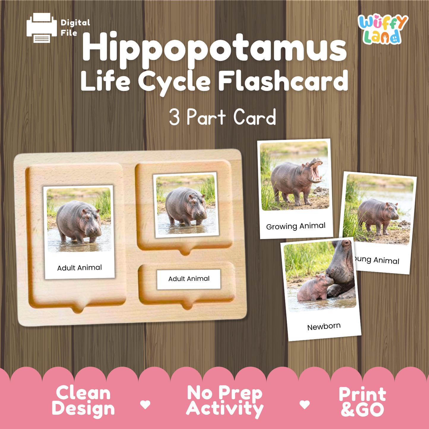 Hippopotamus Life Cycle Flashcard set by Wiffy Land, featuring a wooden 3-part card tray and three sample flashcards showing labeled stages: Adult Animal, Growing Animal, and Newborn. The image is presented on a brown wood-textured background with a pink banner at the bottom highlighting key features.