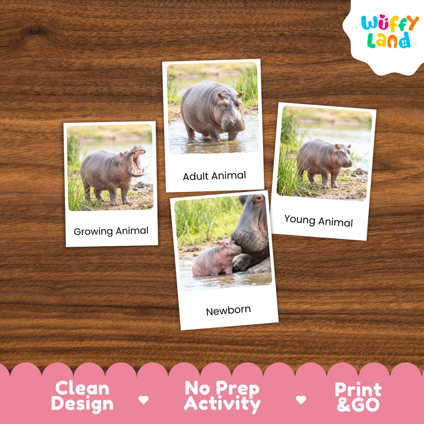 Four animal identification cards showing hippos at different ages, arranged on a brown wood background. The cards are labeled 'Growing Animal', 'Adult Animal', 'Young Animal', and 'Newborn'.