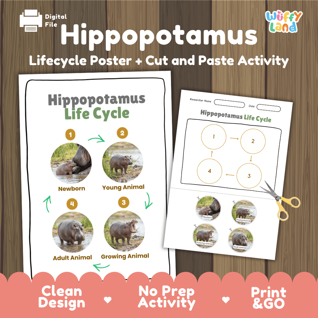 Hippopotamus Life Cycle Poster and Cut and Paste Activity Worksheet