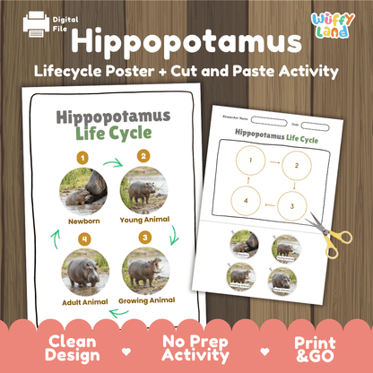 Hippopotamus Life Cycle Poster and Cut and Paste Activity Worksheet