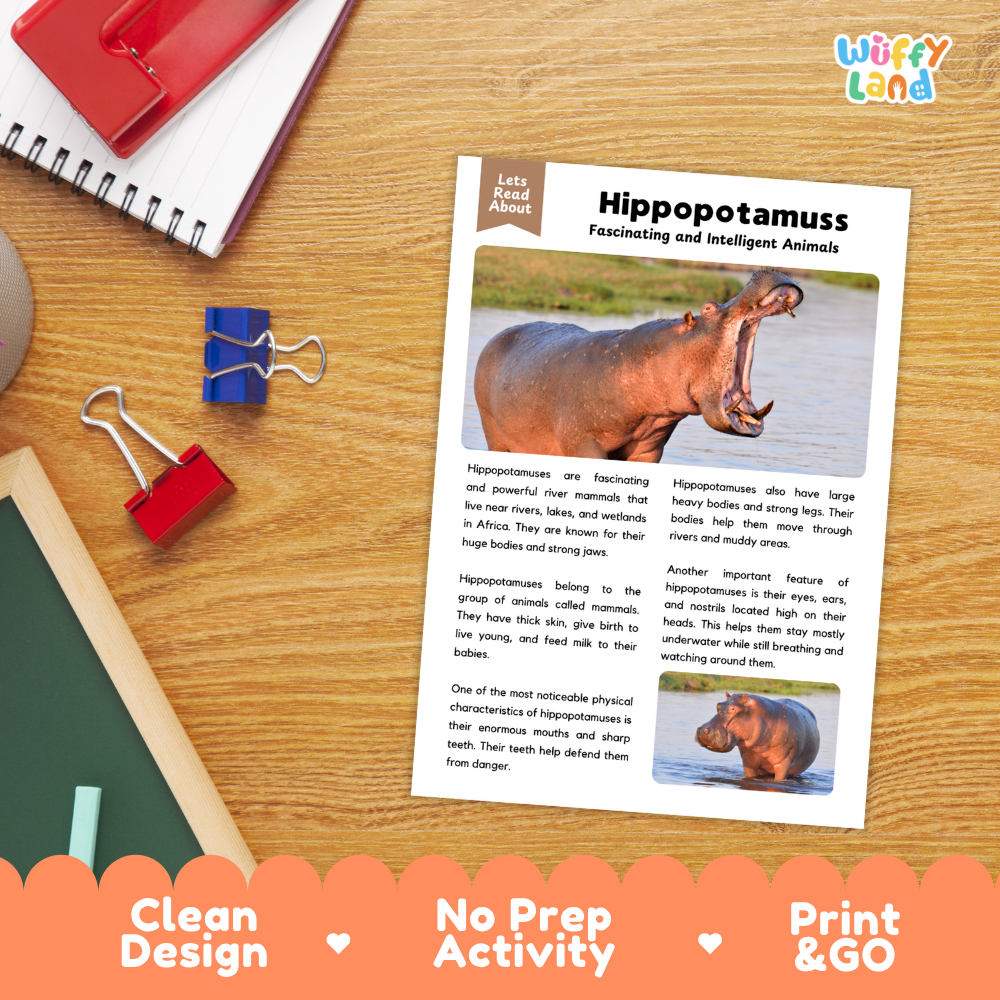 A children's educational activity sheet about hipposotamus displayed on a wooden desk with a red notebook, binder clips, and a colorful 'Wiffly Land' logo in the corner. The sheet includes text and animal photos, with promotional banners at the bottom reading 'Clean Design', 'No Prep Activity', and 'Print & GO'.