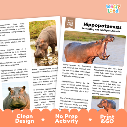 Activity sheet cover for a hippopotamus learning activity by Wiffly Land, featuring a large photo of a real hippopotamus, text about hippos, and orange decorative banners at the bottom that read 'Clean Design', 'No Prep Activity', and 'Print & Go'.