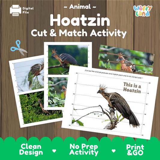 Hoatzin Cut and Match Activity Worksheets | Bird Animal Puzzle Printables