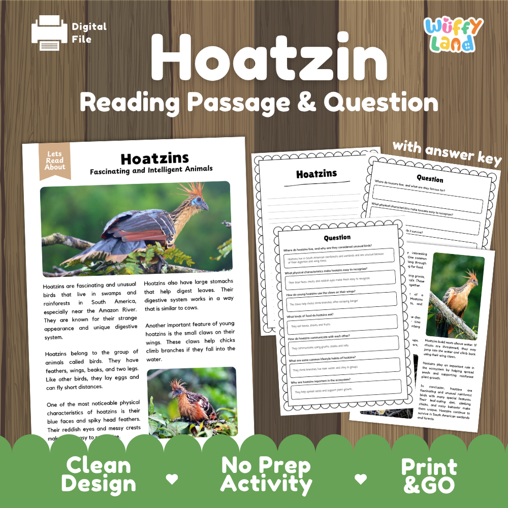 Hoatzin Reading Passage and Comprehension Questions Worksheets with Answer Key