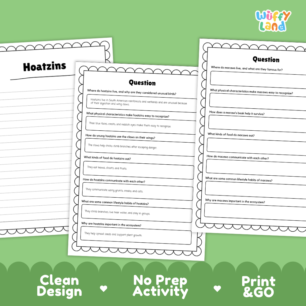 Three printable worksheet pages about hoatzins are shown on a green background with marketing text reading 'Clean Design', 'No Prep Activity', and 'Print & GO'. The pages have black borders, white paper, and black text, with the 'Wiffy Land' logo in the top right.
