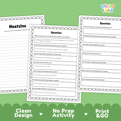 Three printable worksheet pages about hoatzins are shown on a green background with marketing text reading 'Clean Design', 'No Prep Activity', and 'Print & GO'. The pages have black borders, white paper, and black text, with the 'Wiffy Land' logo in the top right.