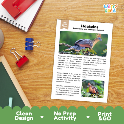 Hoatzin Reading Passage and Comprehension Questions Worksheets with Answer Key