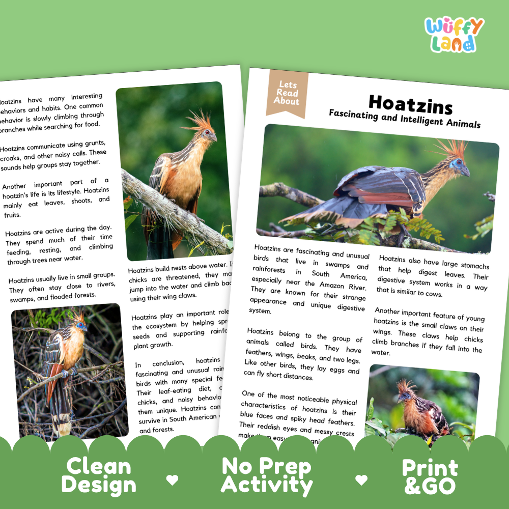 Hoatzin Reading Passage and Comprehension Questions Worksheets with Answer Key
