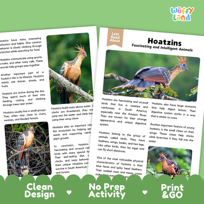 Hoatzin Reading Passage and Comprehension Questions Worksheets with Answer Key