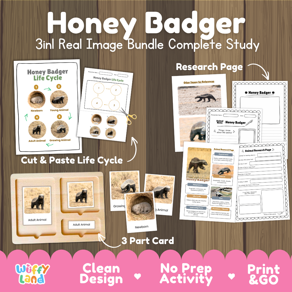 Honey badger 3-in-1 real image bundle complete study cover showing cut and paste life cycle, 3 part cards, and research pages   